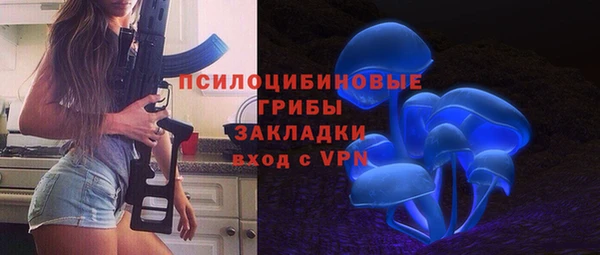 прущий лед Алексин