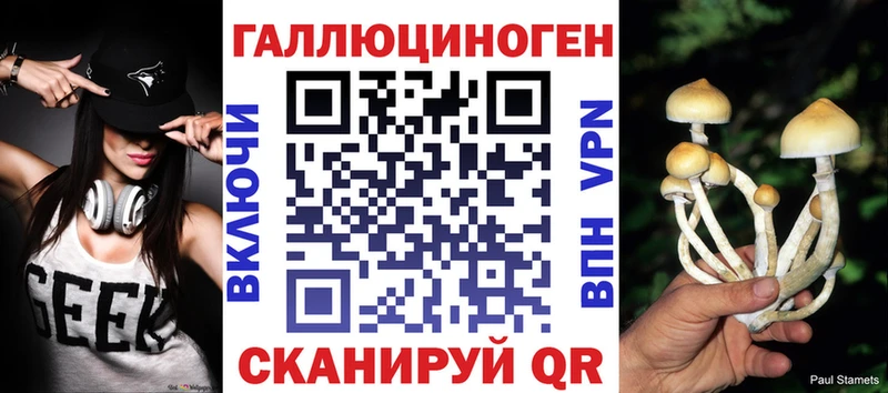 продажа наркотиков  Краснотурьинск  гидра как войти  Галлюциногенные грибы Magic Shrooms 